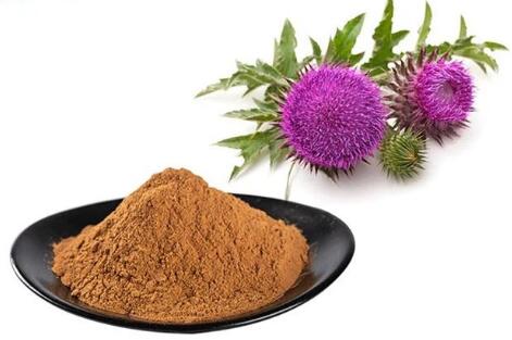 Milk Thistle Extract Powder.jpg